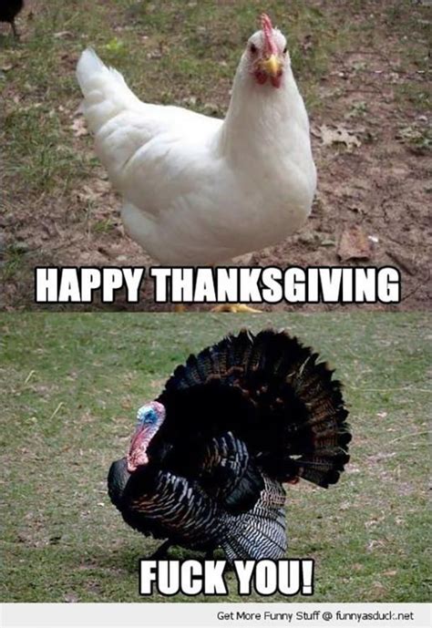 thabksgiving meme|happy thanksgiving funny meme.